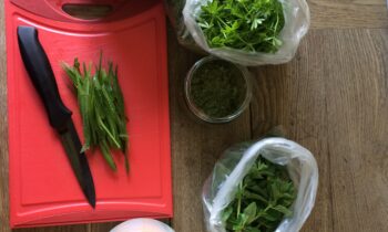 WildkräuterWerkstatt