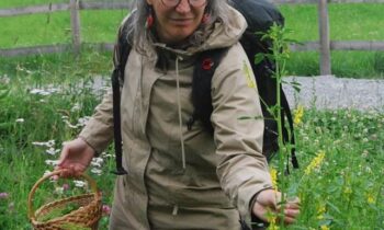 WildkräuterWanderung